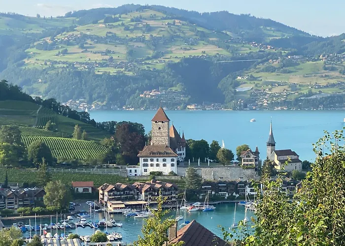 Herrlicher Blick Auf Berge Und See