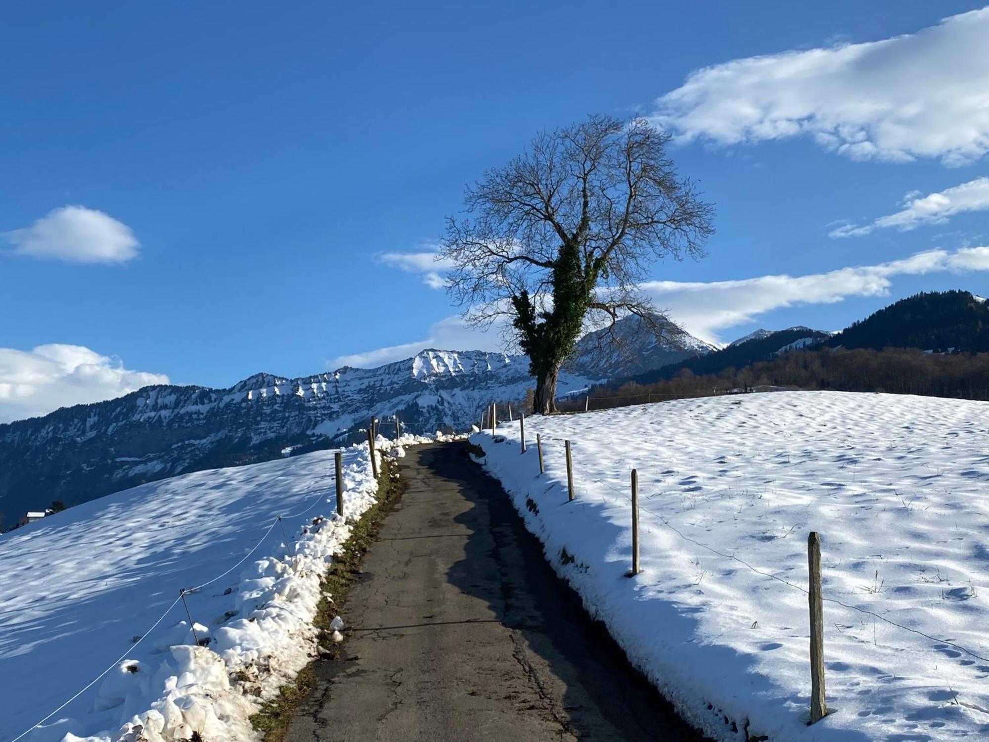 Herrlicher Blick Auf Berge Und *